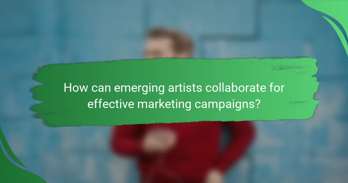 How can emerging artists collaborate for effective marketing campaigns?