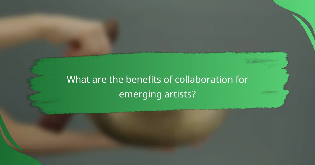 What are the benefits of collaboration for emerging artists?