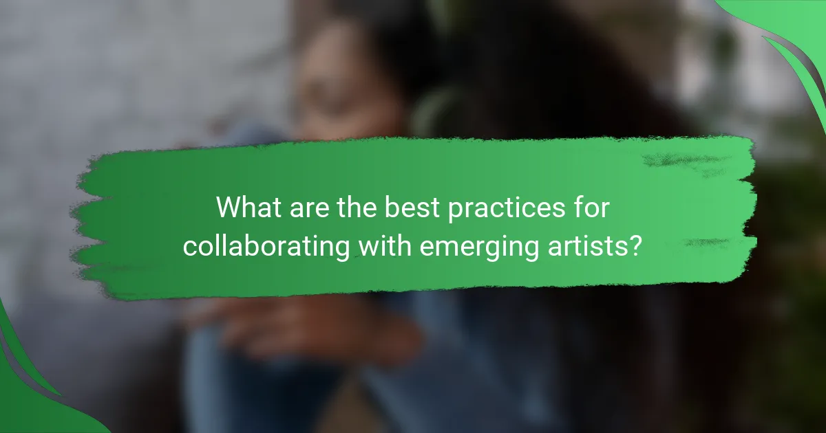 What are the best practices for collaborating with emerging artists?