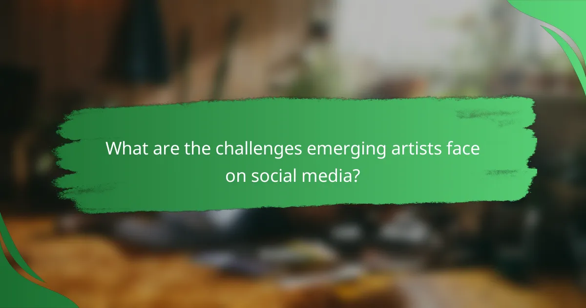 What are the challenges emerging artists face on social media?