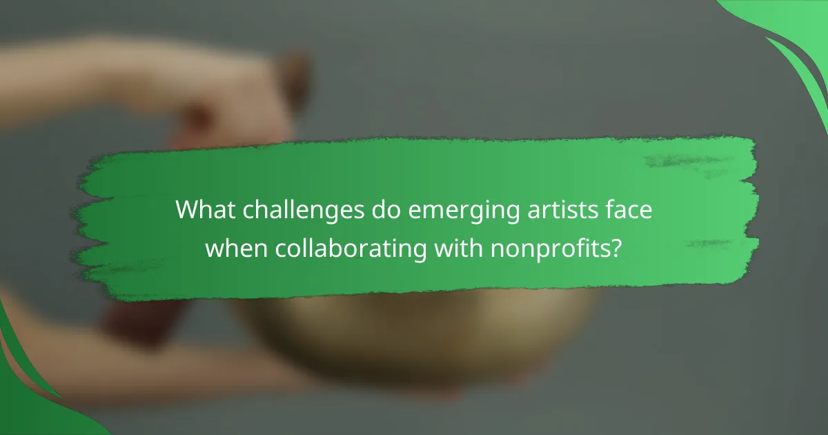 What challenges do emerging artists face when collaborating with nonprofits?